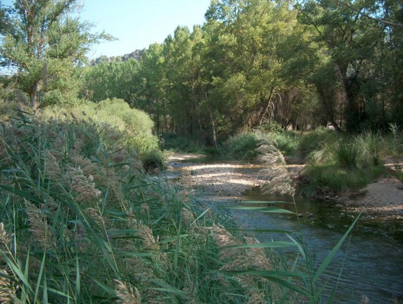 Casas de Benítez Casa Rural Parajes Del Jucar מראה חיצוני תמונה