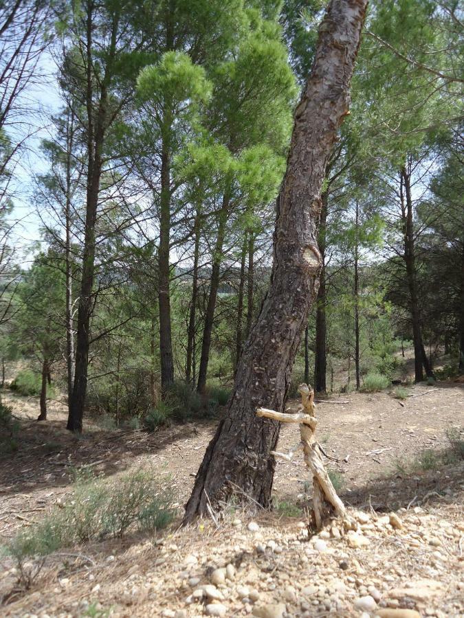 Casas de Benítez Casa Rural Parajes Del Jucar מראה חיצוני תמונה